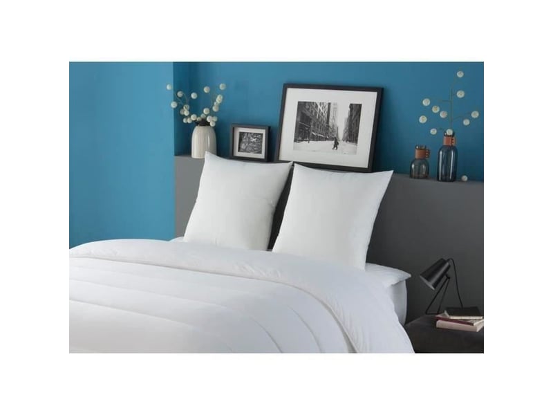 Ensemble Couette + Oreiller - Couette 140x200 Cm 450g/m², Oreiller 50x70 Cm - 100% Polyester, Blanc, Lavable Machine