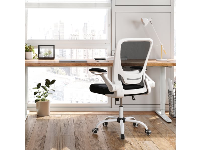 DoChair Chaise de bureau ergonomique avec soutien lombaire et DoChair Chaise de bureau ergonomique avec soutien lombaire et