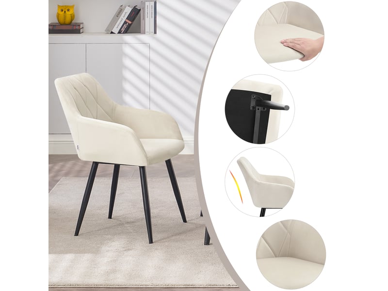 Raya Lot de 2 chaises de Salle à Manger rembourrées en Velours
