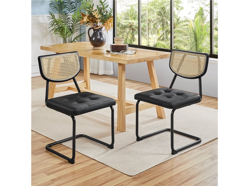 Lot de 2 chaises de salle à manger modernes mid-century chaises de ...